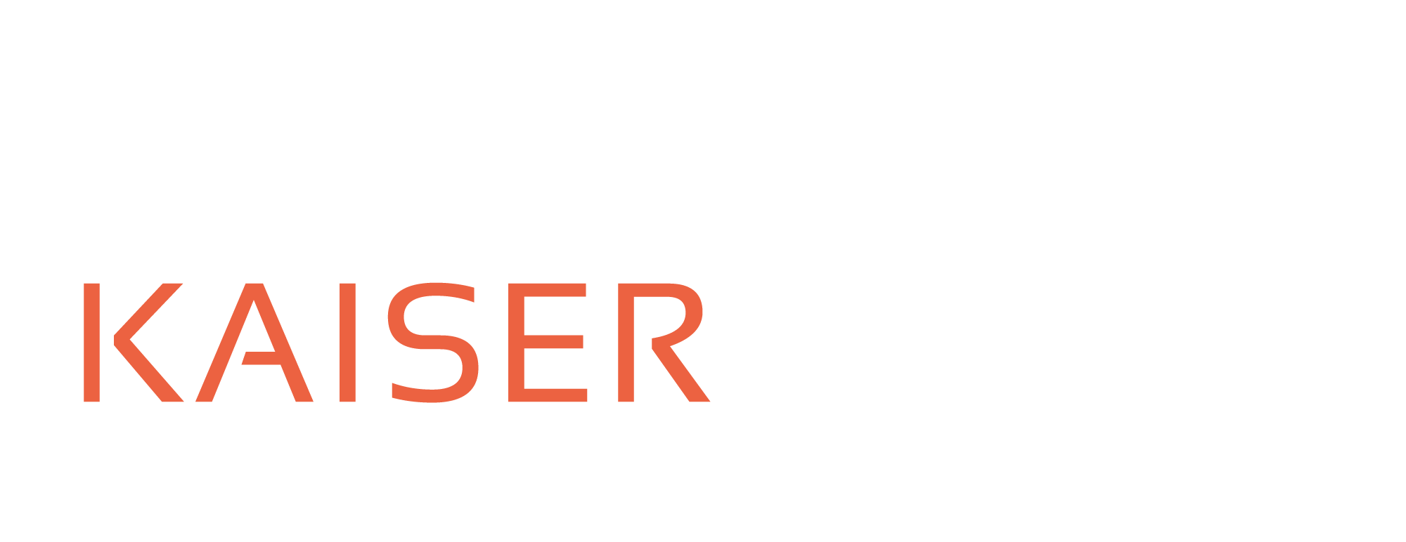 Slider-Logo-Schrift-1